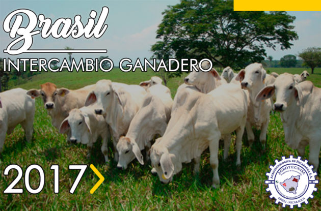 Brasil Ganadero 2017