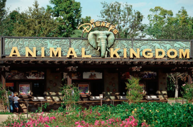 Disney-Animal-Kingdom-1068x720