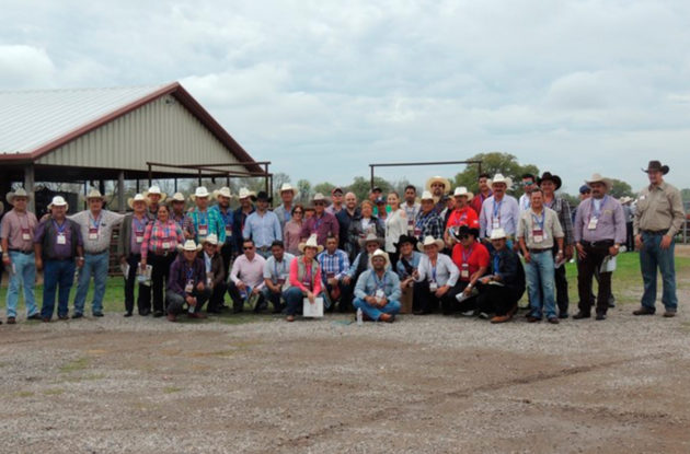 RodeoHouston (1)